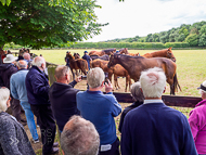 KS300622-18 - Kirtlington Stud Visit